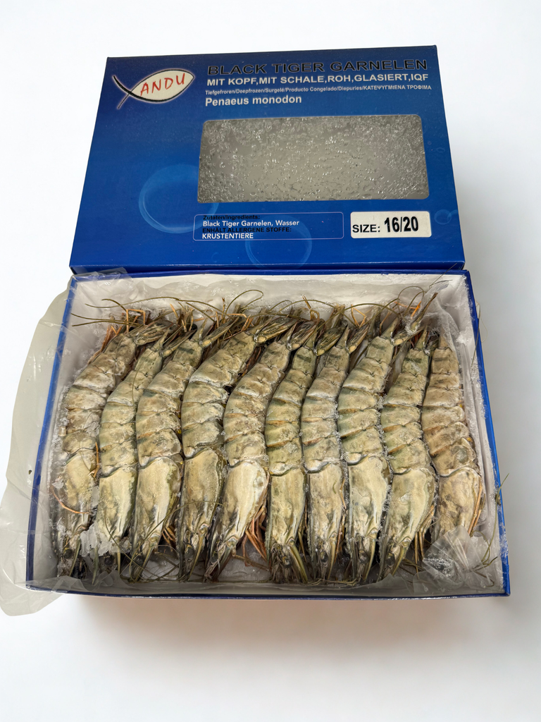 Gamba BT 16/20 1KG