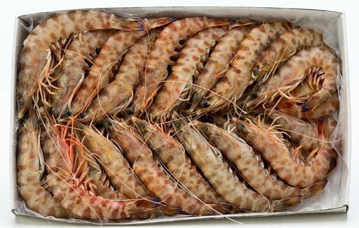 [P1202] Gamba N3 ORCI Nigeria 30/40