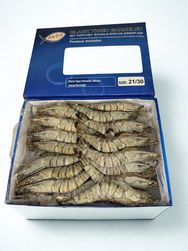 [P1250B] Gamba BT 21/30 1KG